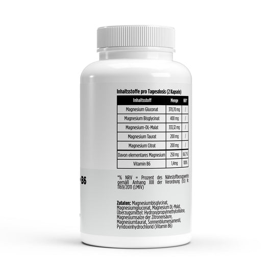 Magnesium 5x Complex + B6 - 120 vegan Capsules