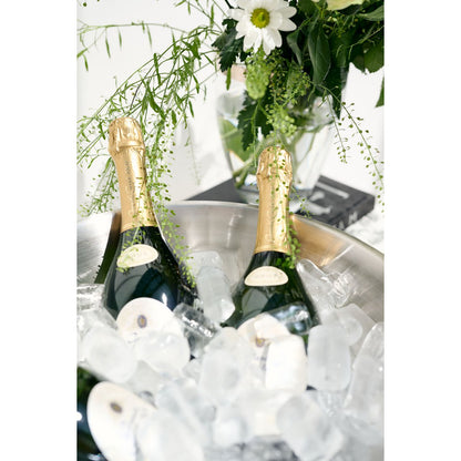 EDZARD champagneschaal Cara set van 2 Ø 40 cm