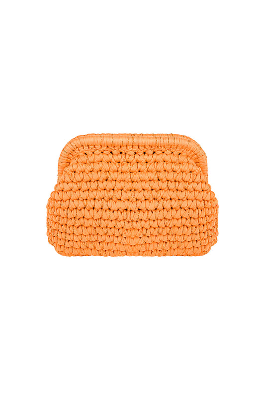 The Colorful Clutch tas