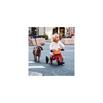Kinderfeets houten fietskrat